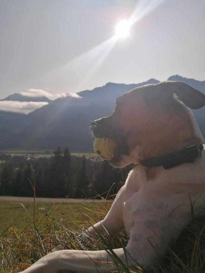 Fruehstueckspension Lemberger Dellach im Drautal Exterior foto