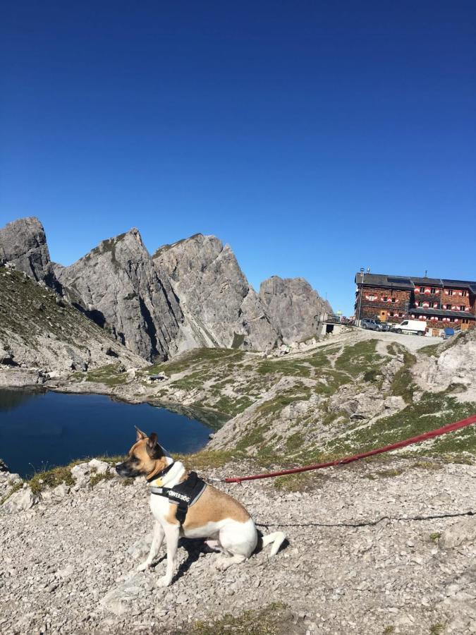 Fruehstueckspension Lemberger Dellach im Drautal Exterior foto