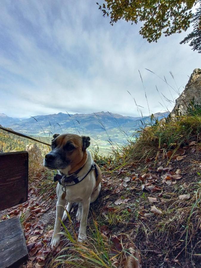 Fruehstueckspension Lemberger Dellach im Drautal Exterior foto