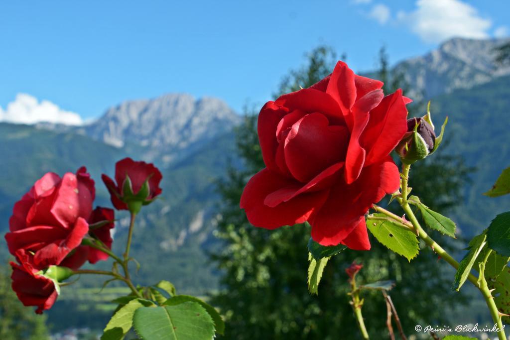 Fruehstueckspension Lemberger Dellach im Drautal Exterior foto