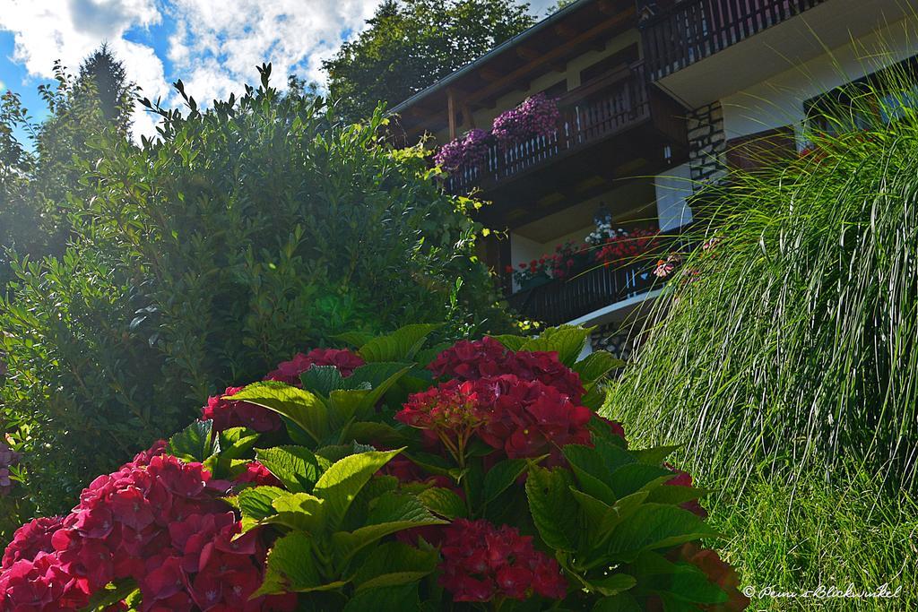 Fruehstueckspension Lemberger Dellach im Drautal Exterior foto